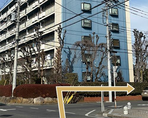 route-5-min - hoshi no kakera|所沢フェムケアサロン 所沢フェムケアサロン|デリケートゾーンの黒ずみ・におい・かゆみ、更年期、PMSにお悩みならhoshi no kakera